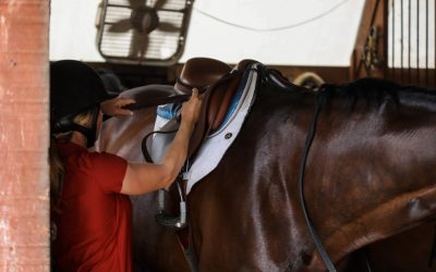 How Do I Stop My Saddle from Slipping?