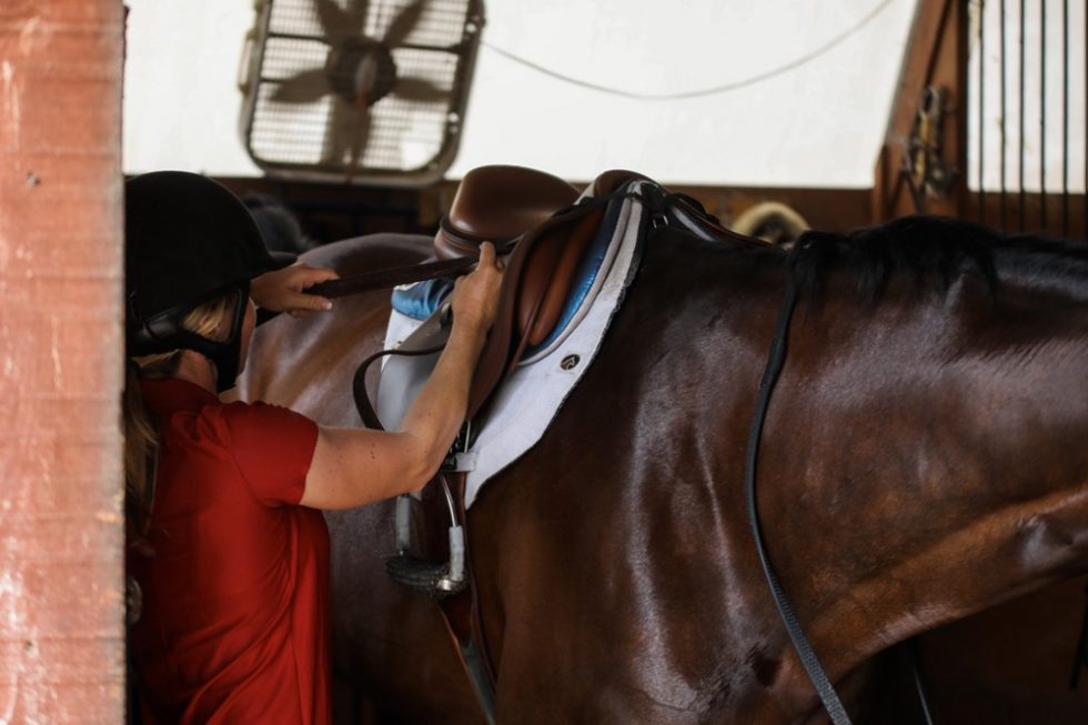 How Do I Stop My Saddle from Slipping? Ecogold