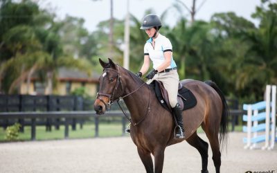 What Can I Do to Keep My Horse Cool During Summer Rides?
