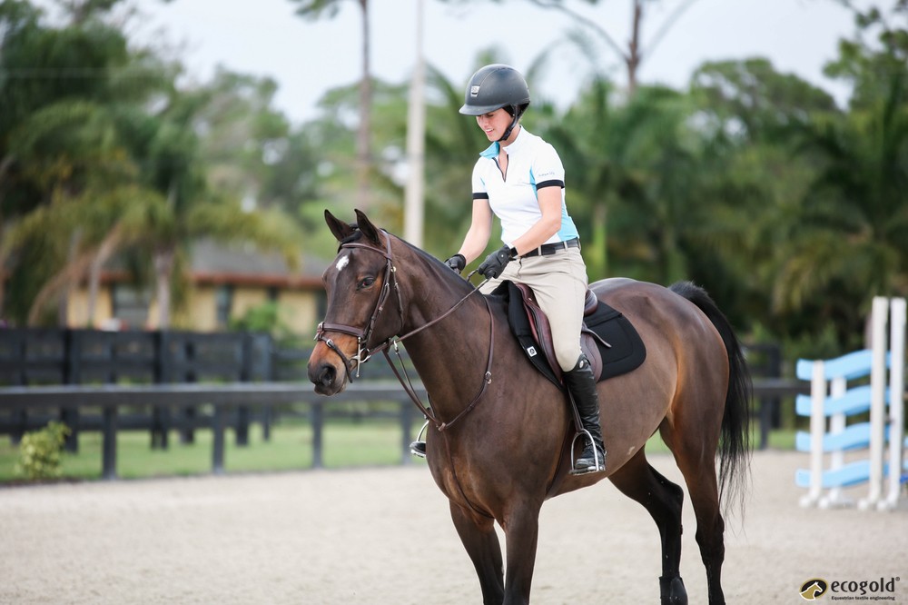 What Can I Do to Keep My Horse Cool During Summer Rides?