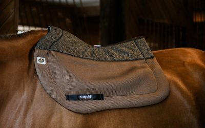 Best Saddle Pad Colors for Fall 2018