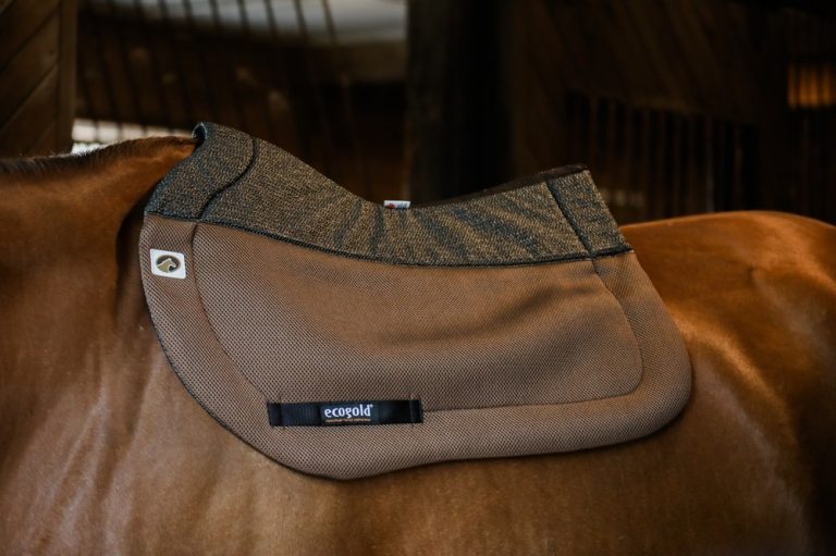 Best Saddle Pad Colors for Fall 2018 Ecogold Equestrian Textile