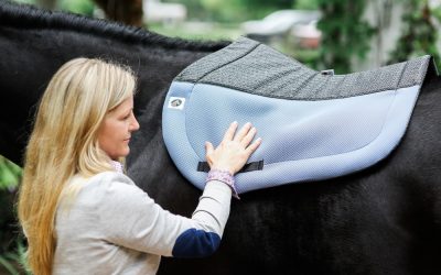 What Can I Do to Heal a Saddle Sore on My Horse?