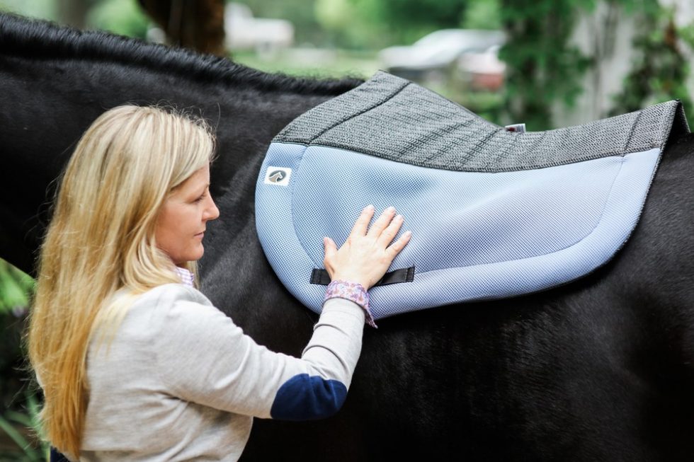 What Can I Do to Heal a Saddle Sore on My Horse? Ecogold