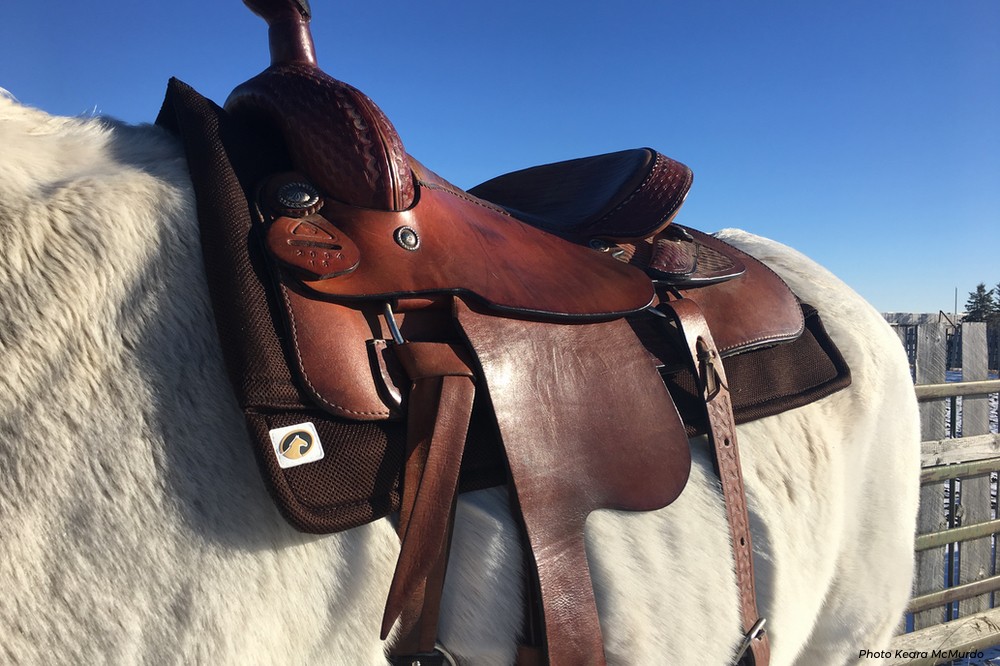 Ecogold Releases New Western Saddle Pads Ecogold Equestrian Textile