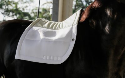 How Should A Saddle Pad Fit Under The Saddle?