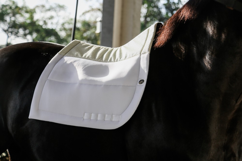 How Should A Saddle Pad Fit Under The Saddle?