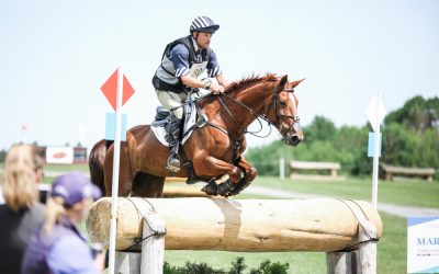 Ecogold Fundraiser for Frangible Fences for Eventing