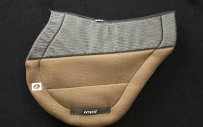 3 Factors to Keep Your Horse Cool and Comfortable
