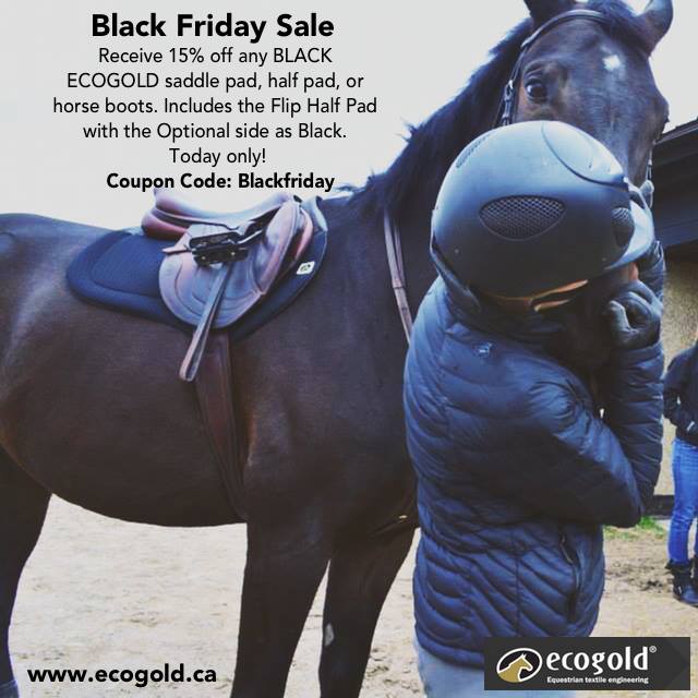 Black Friday Sale: 15% on Black ECOGOLD Saddle Pads, Half Pads and Horse Boots!