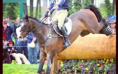 Why Do Top Riders Use ECOGOLD?
