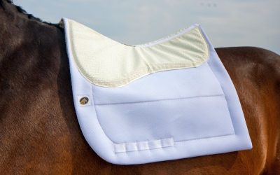 My Sensitive Sally Contest: Win an Ecogold Calmatech Saddle Pad