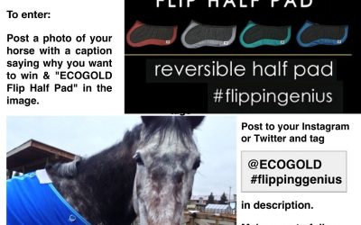 Win An ECOGOLD Flip Half Pad™ on Twitter or Instagram!