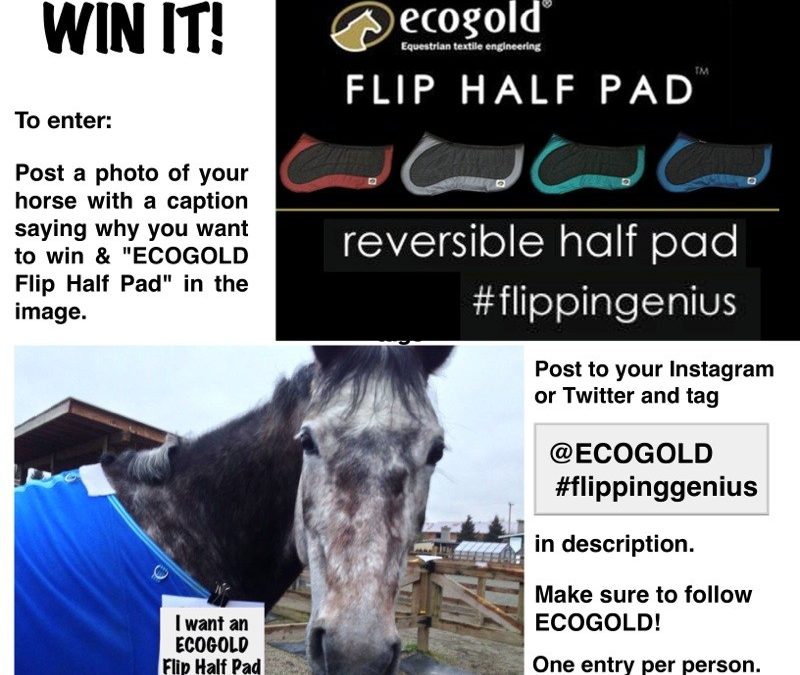 Win An ECOGOLD Flip Half Pad™ on Twitter or Instagram!