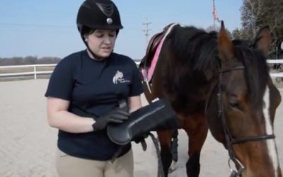 Stirrups & Sparkles’ Review of ECOGOLD Schooling Horse Boots