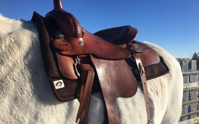 Ecogold Releases New Western Saddle Pads