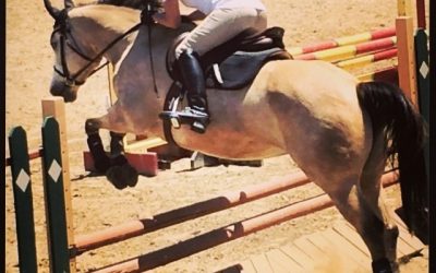 What Does Your Horse Do For You?