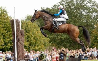 What Every Rider Should Know About Protective Horse Boots