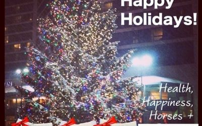 Happy Holidays from ECOGOLD