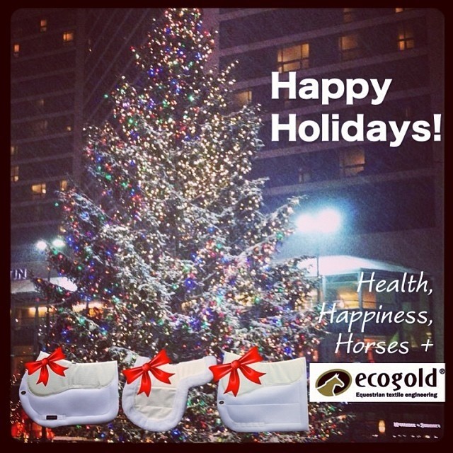 Happy Holidays from ECOGOLD