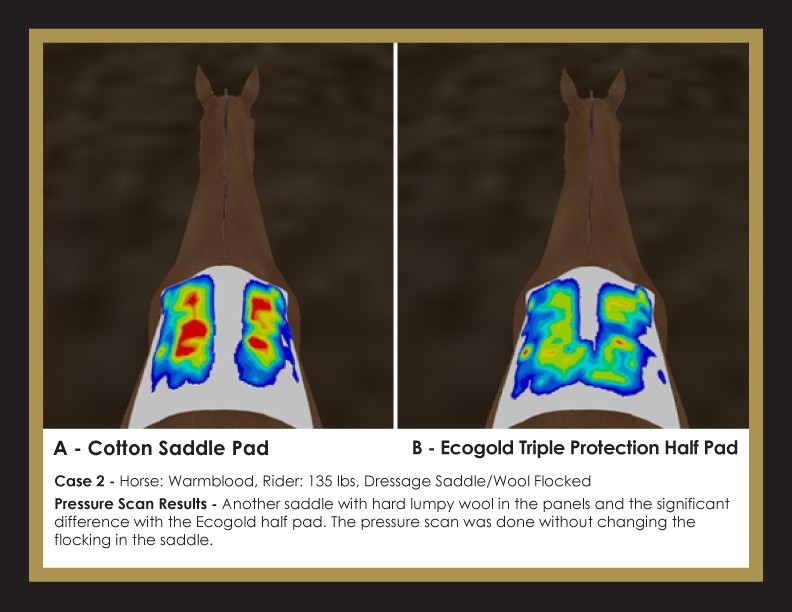 Amazing Results from Ecogold Saddle Pads in Pressure Scans!
