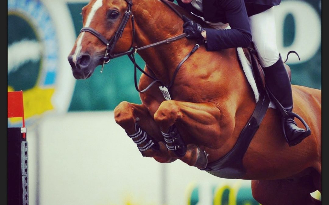 McLain Ward on Rothchild: “Through the Years, He Has Really Become My Friend”