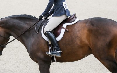 How Should My Saddle Pad Fit?