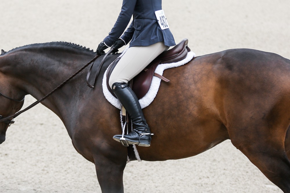How Should My Saddle Pad Fit?