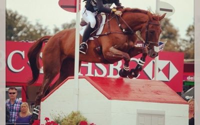 Sinead Halpin