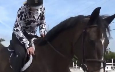 How Big of A Difference Do ECOGOLD Saddle Pads Make? Watch the Non-Slip Test