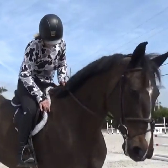 How Big of A Difference Do ECOGOLD Saddle Pads Make? Watch the Non-Slip Test