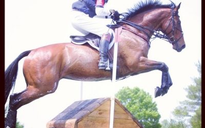 William Fox-Pitt