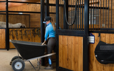 Meet the Hardest-Working Equestrians