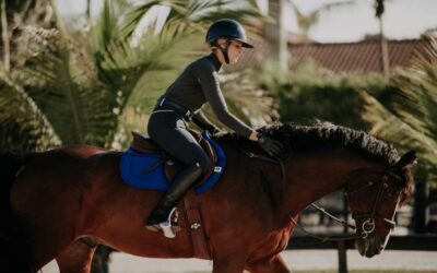 Keep Your Horse’s Back Strong With These 4 Easy Exercises