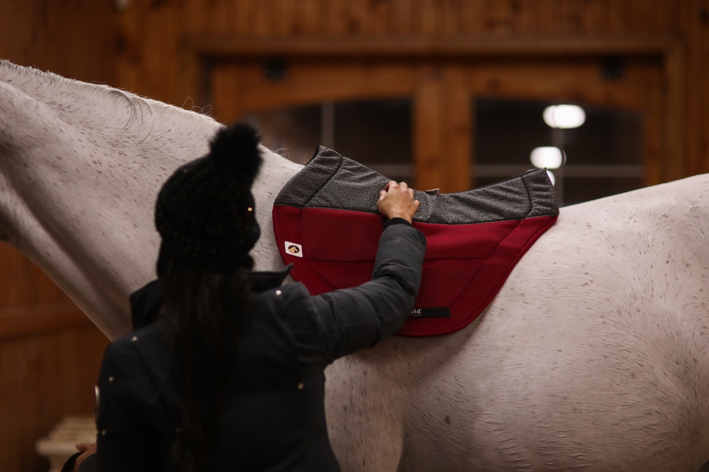 Which Fall Colours Go Best with your Horse’s Coat?