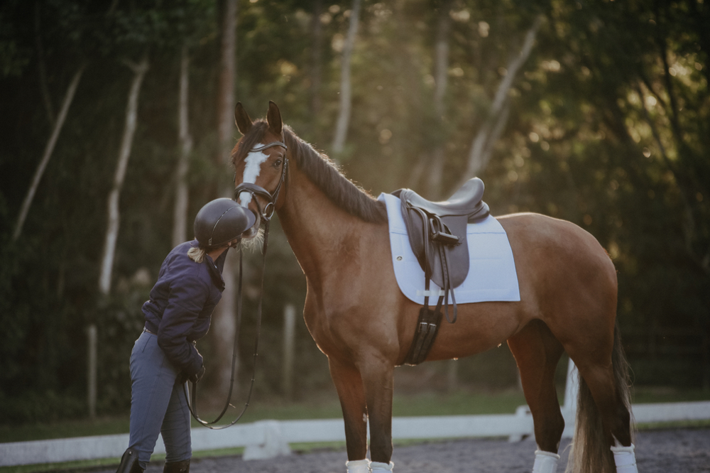 10 Ways to Make A Happy Horse