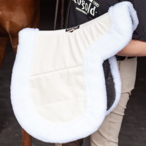 Hunter Jumper