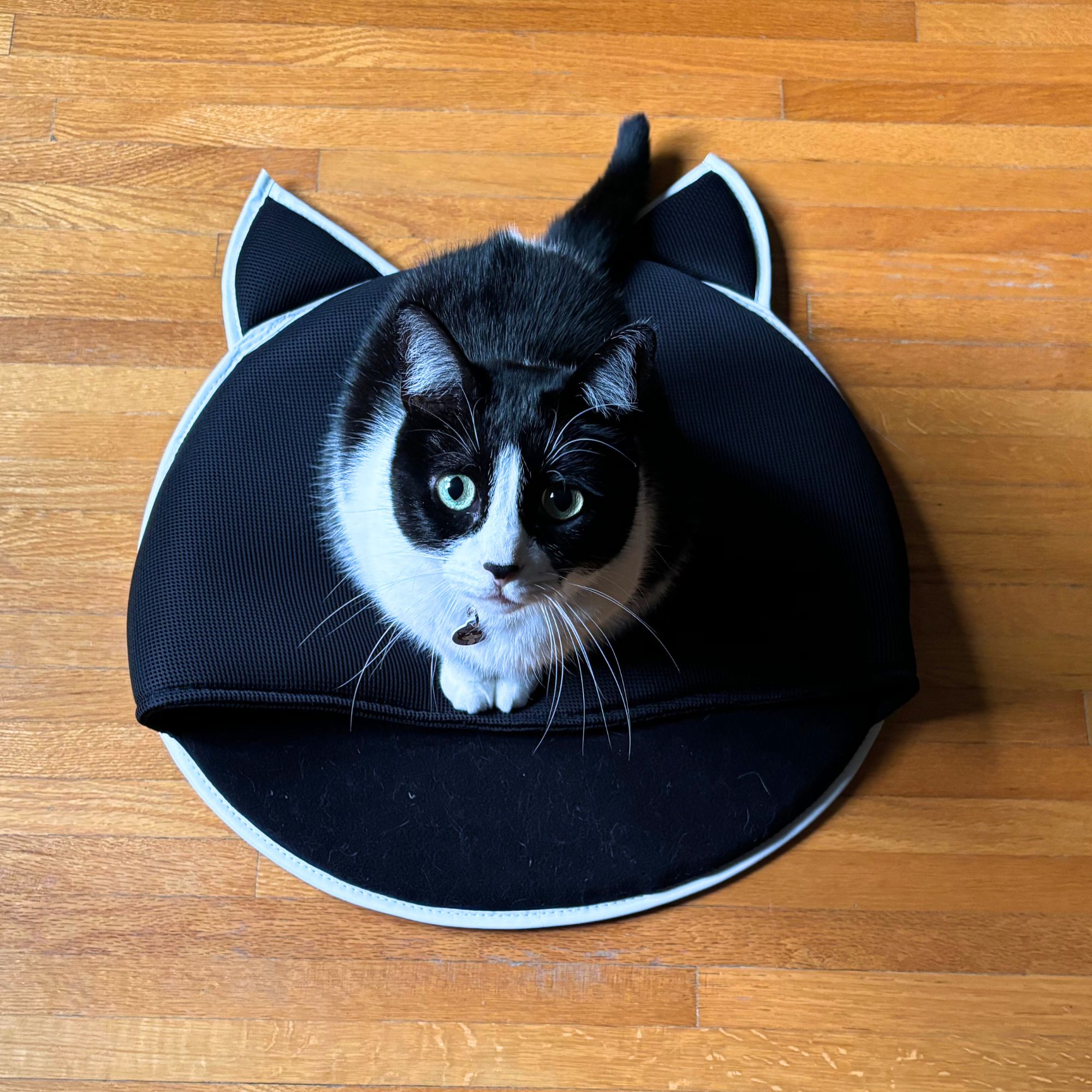 CozyNest Cat Bed with Pocket and Cat Ears Ecogold